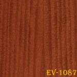 ev-1087