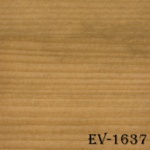 ev-1637