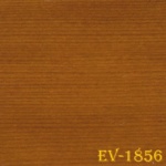 ev-1856
